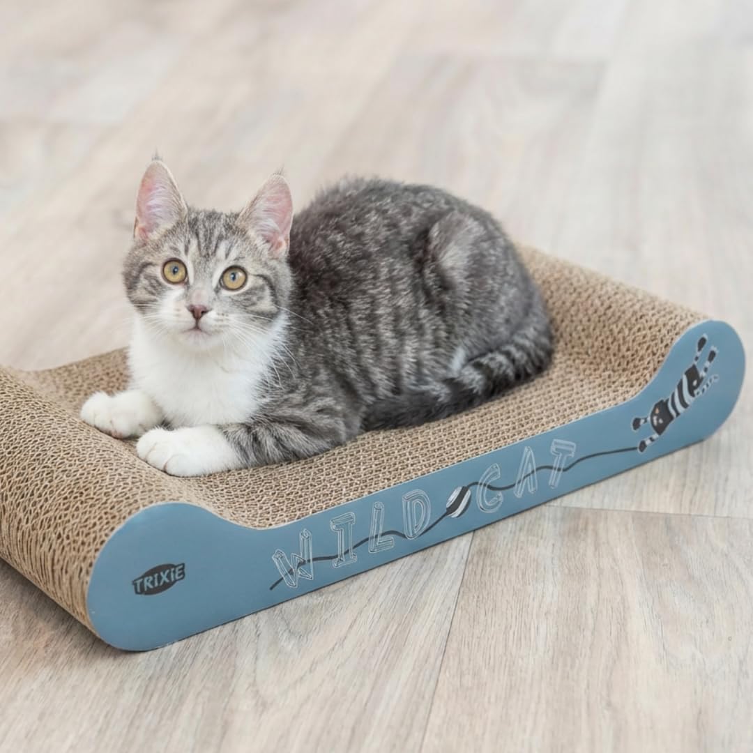 Cardboard scratching lounger — 2