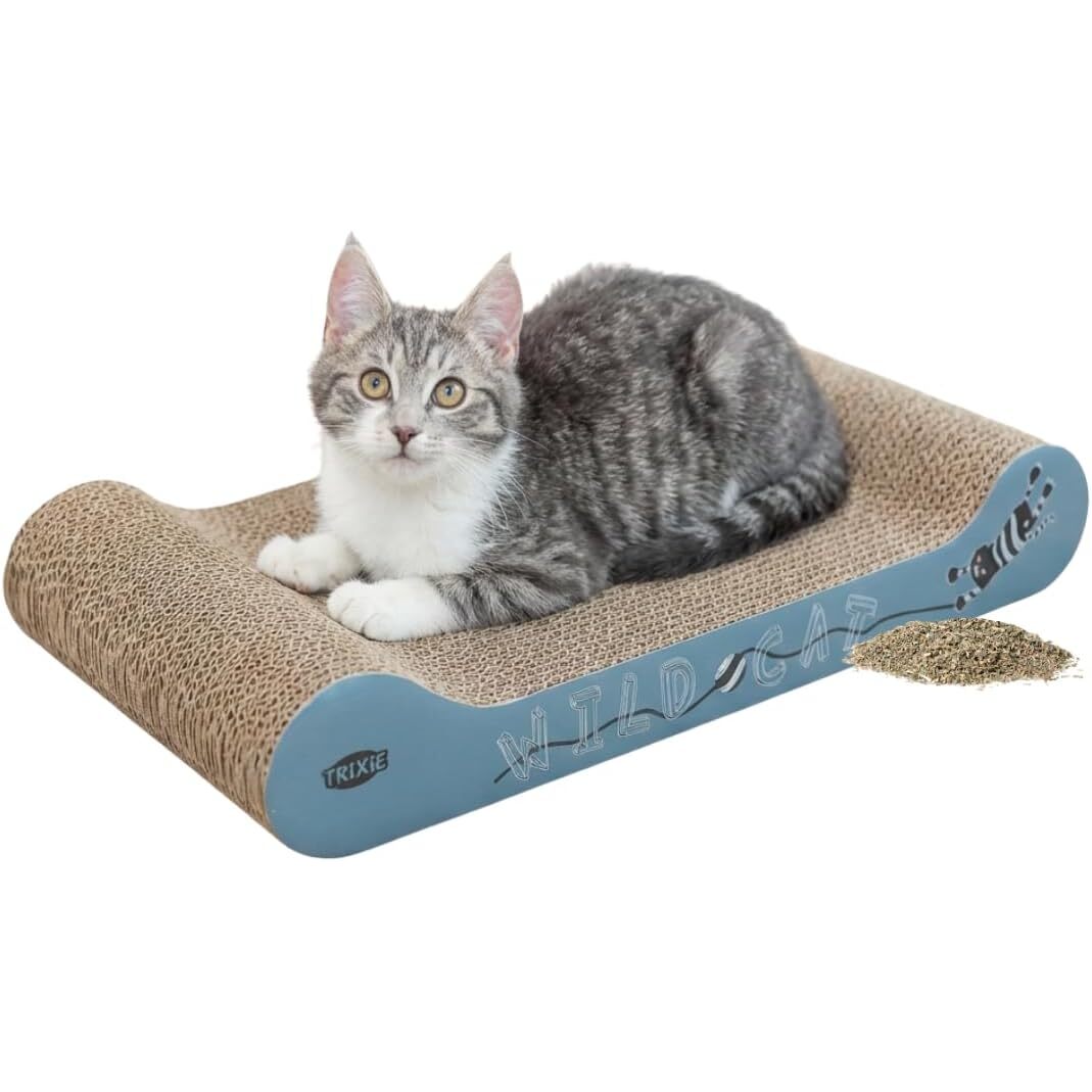 Cardboard scratching lounger